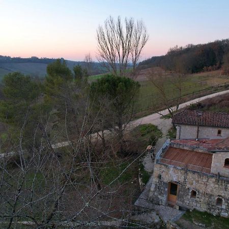 Grand Gite Les Cabanes De Fallot Pour 19 Personnes - Piscine Naturelle L'isle-Bouzon Dış mekan fotoğraf
