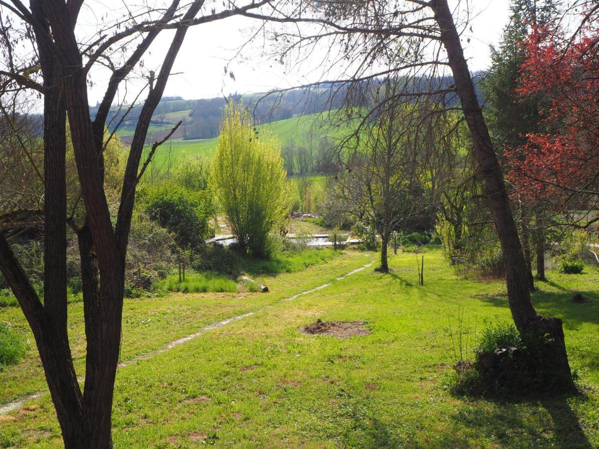 Grand Gite Les Cabanes De Fallot Pour 19 Personnes - Piscine Naturelle L'isle-Bouzon Dış mekan fotoğraf